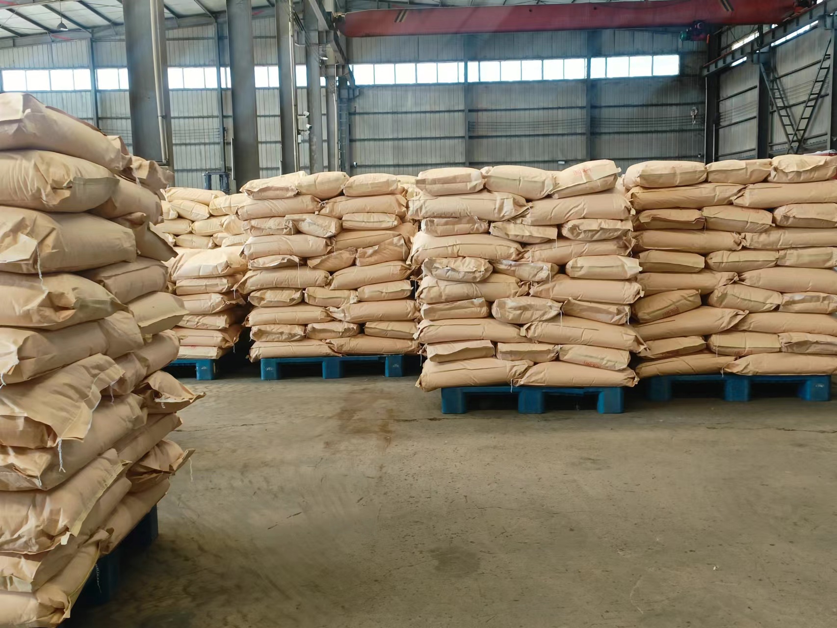 �۱�ϩ����