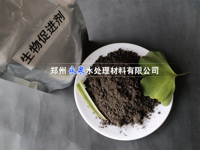 ����ٽ���